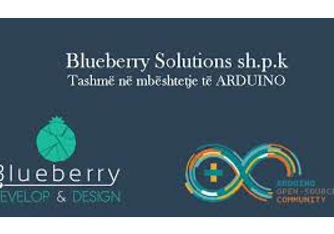 sherbime it dhe marketing Blueberry Solutions shpk Ofron sherbime IT dhe MARKETING per biznese