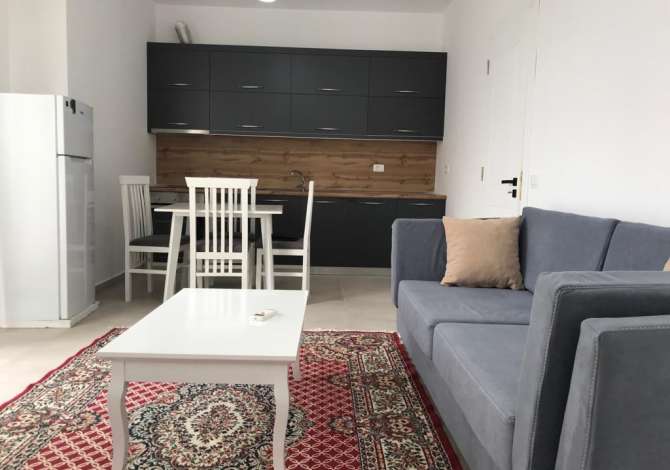 Casa in affitto 1+1 a Tirana - 390 Euro