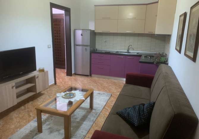 House for Rent 1+1 in Tirana - 250 Euro
