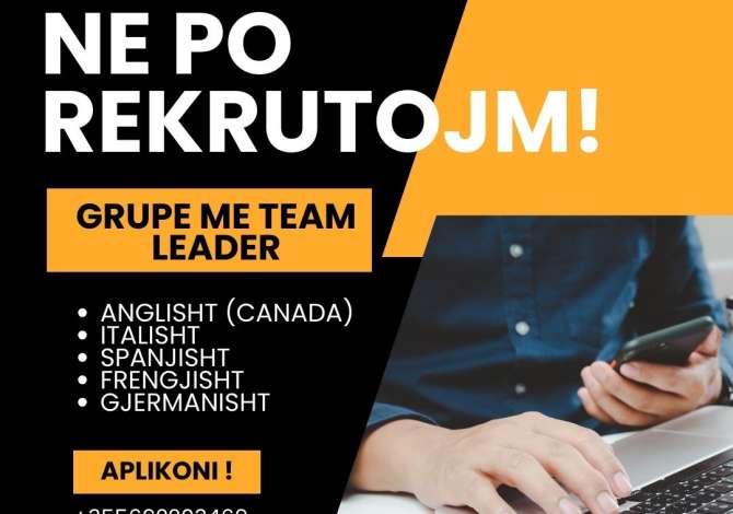 Oferta Pune Grupe me Team Leader ne gjuhet Italisht, Spanjisht, Gjermanisht, Frengjisht. Me eksperience ne Tirane
