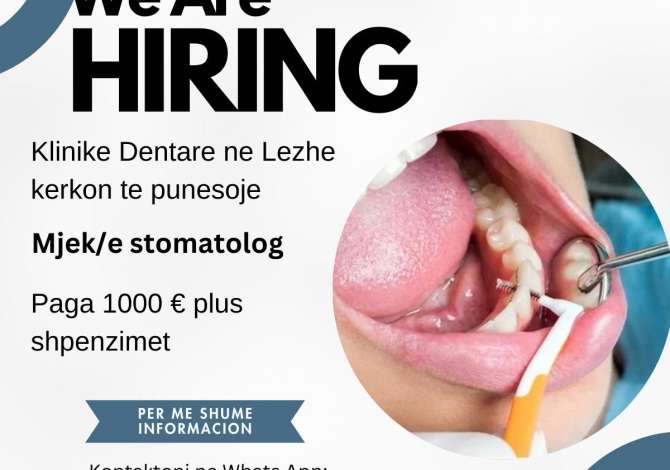 Job Offers Dentist Beginner/Little experience in Lezha