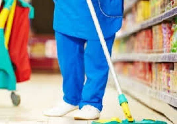 Job Offers Sanitary/Cleaner No Experience in Tirana